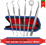 Dental Pick Scaler Oral Care Tools Set - with Case