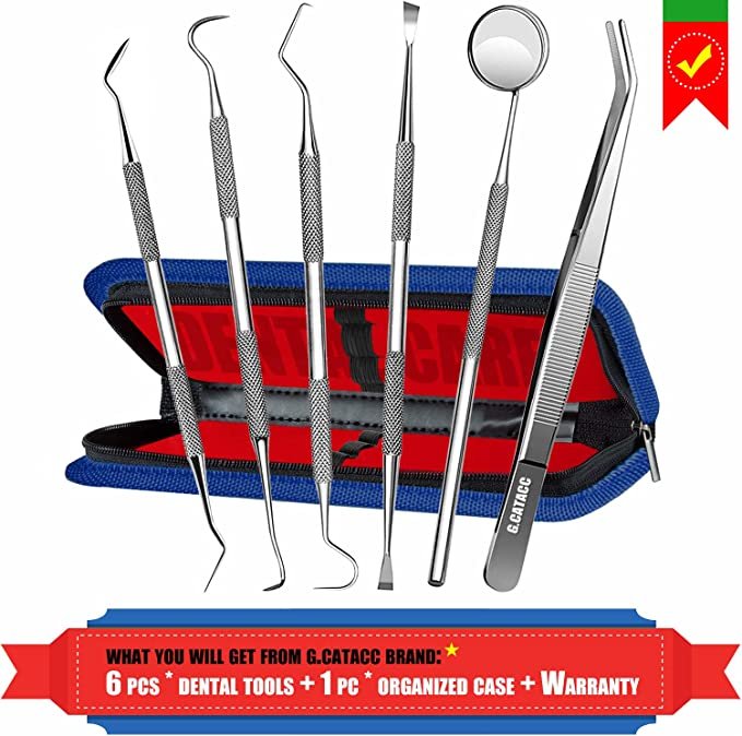 Dental Pick Scaler Oral Care Tools Set - with Case
