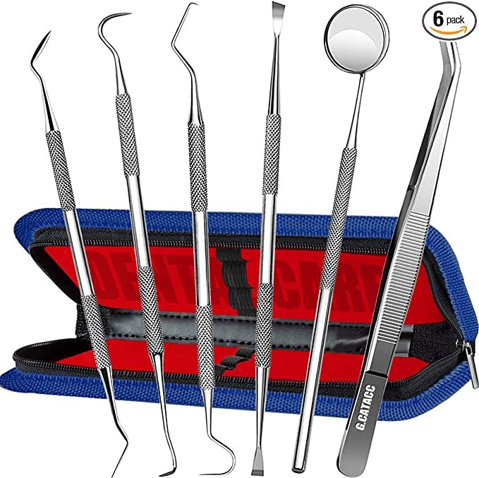Dental Pick Scaler Oral Care Tools Set - with Case