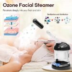 Hair Steamer Kingsteam 2 in 1 Ozone Facial Steamer