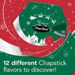 ChapStick Lip Balm Gift Set, Lip Care - 12 Count (Pack of 1)