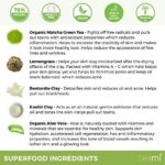 Teami Detox Face Masks Skincare Facial Skin Care Products: Green Tea Detox Mask