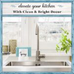 Home Acre Designs Sponge Holder for Kitchen Sink - White